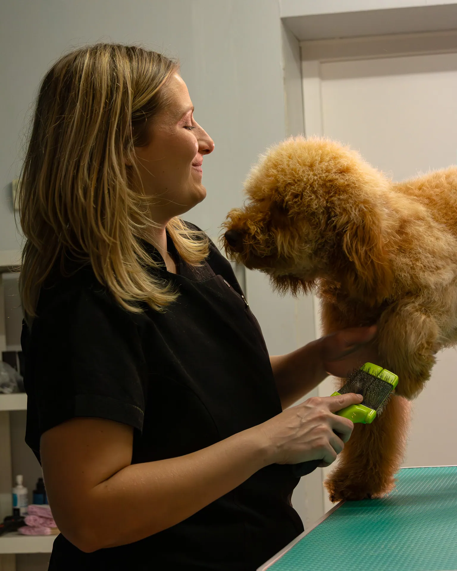 Toiletteuse souriante avec un caniche abricot au Salon Aristochiens